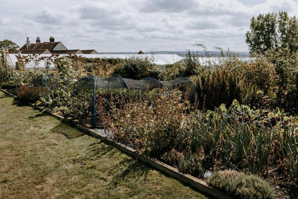 Eastchurch The Ferry House Bed & Breakfast エクステリア 写真